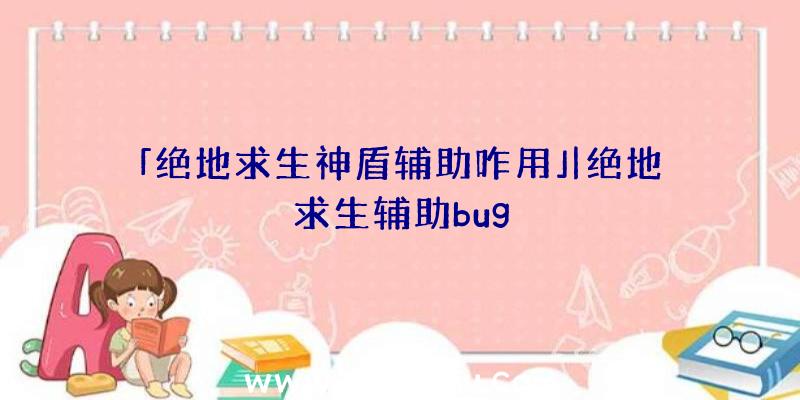 「绝地求生神盾辅助咋用」|绝地求生辅助bug